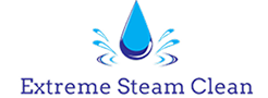 Extreme Steam Clean